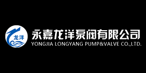 龙洋logo